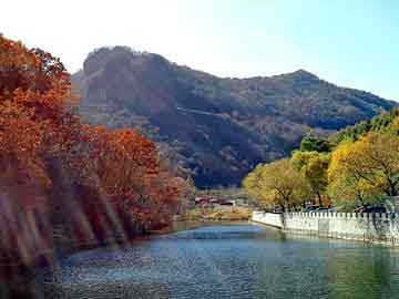 正版澳门天天开彩大全，大鹏背景